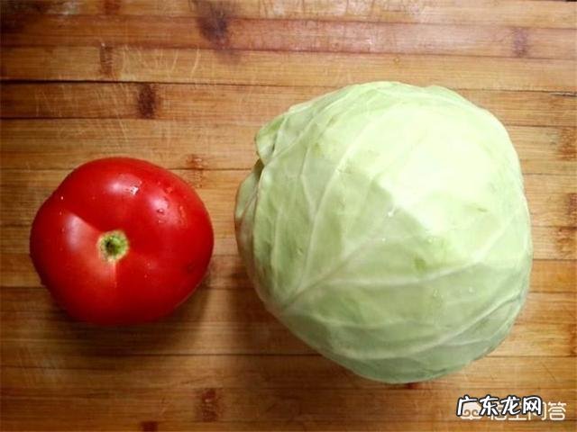 西红柿炒卷心菜的做法是什么?
