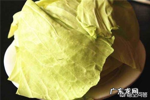 西红柿炒卷心菜的做法是什么?