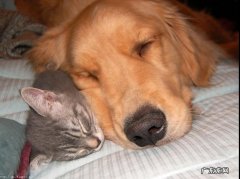 怎样吃才能为减肥加速度？