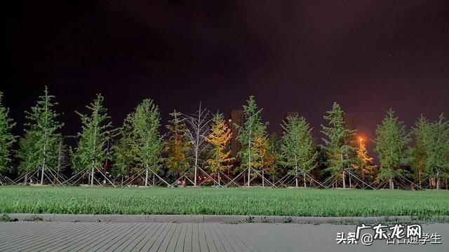 南京十大农贸菜市场 南京粮油销售排行榜