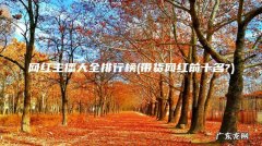 带货网红前十名? 网红主播大全排行榜