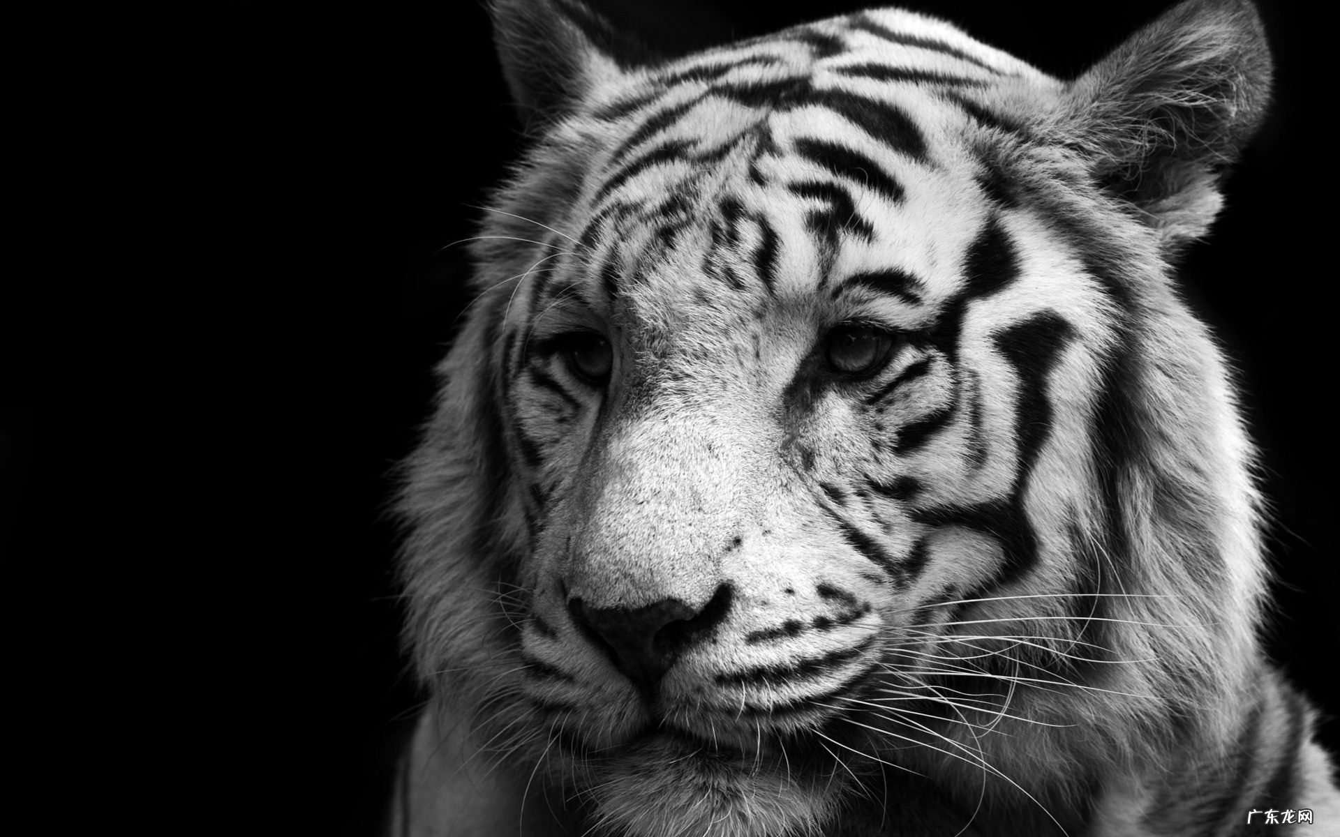 头发长得快说明你的身体好吗?