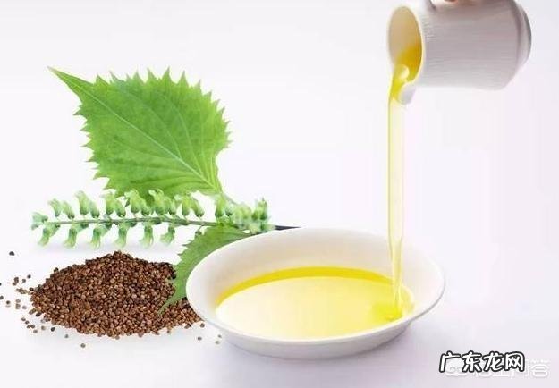 邻居老人晨起排便，一小时后中风倒地，排便时什么事不能做？