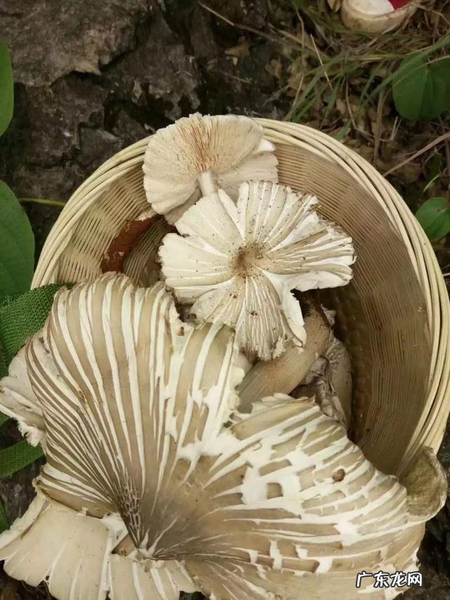 新闻媒体未来的导向究竟该走向何方?