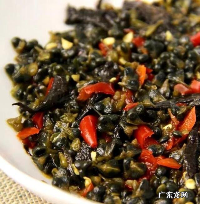 新闻媒体未来的导向究竟该走向何方?