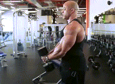 怎么锻炼才能让肩膀变宽腿变细?