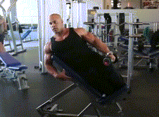 怎么锻炼才能让肩膀变宽腿变细?