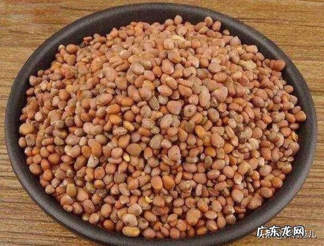 莱菔子可散结吗?为什么?