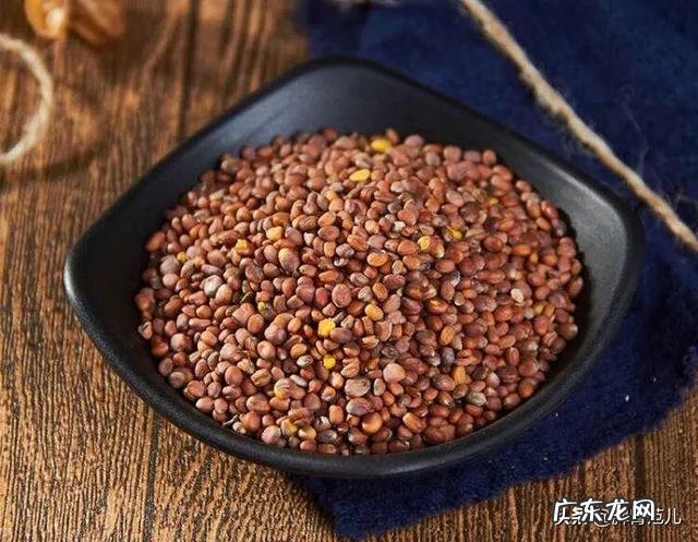 莱菔子可散结吗?为什么?