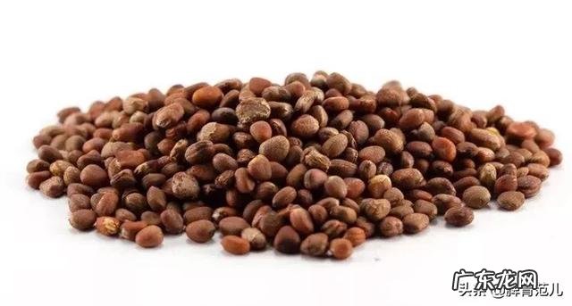 莱菔子可散结吗?为什么?