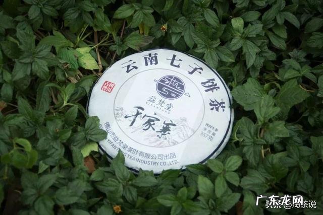 普洱茶行业品牌前十位排行是哪些 普洱茶品牌销售额排行榜