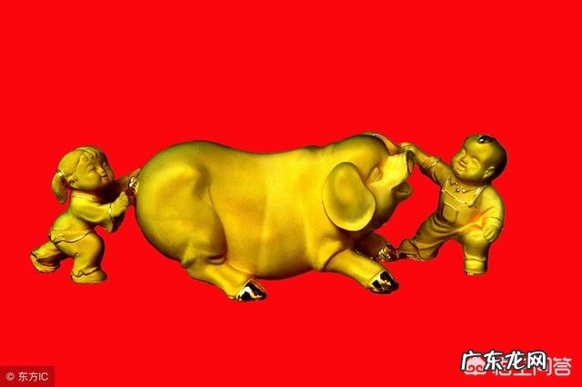 猪年生孩子之后,如何在朋友圈报喜比较有意思?