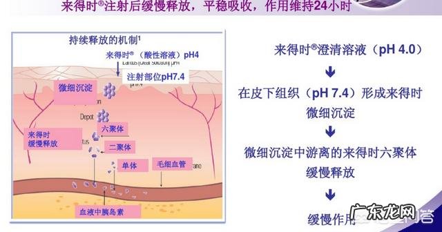 甘精胰岛素和普通胰岛素有什么不同?