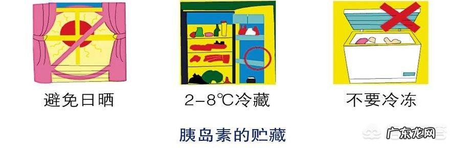 甘精胰岛素和普通胰岛素有什么不同?