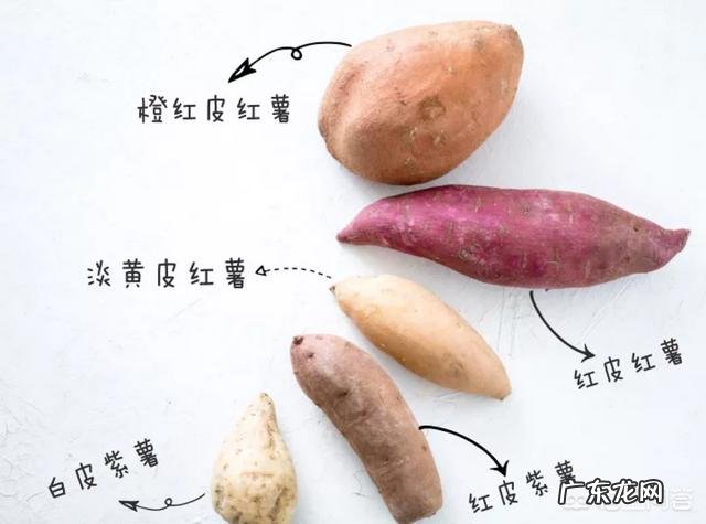 为什么绝大多数人会把减肥和不吃饭对等？