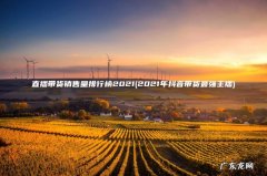 2021年抖音带货最强主播 直播带货销售量排行榜2021