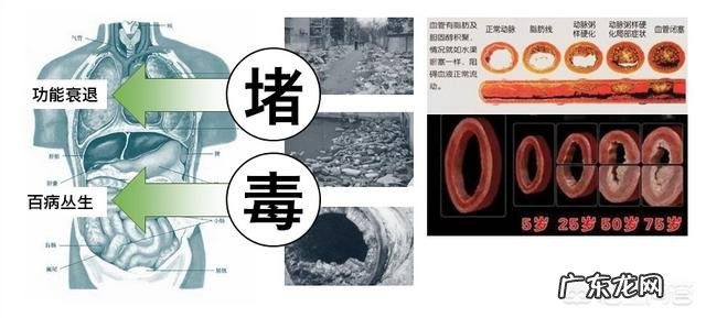 在家如何辟谷,或者清节食?