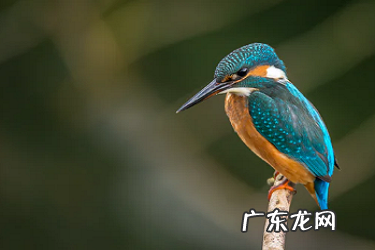 淘宝怎么改关键词不降权?哪些不能修改?