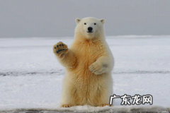 淘宝怎么防止同行下单？如何处理？