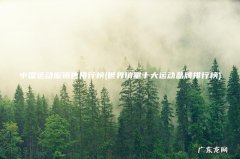 世界销量十大运动品牌排行榜 中国运动服销售排行榜