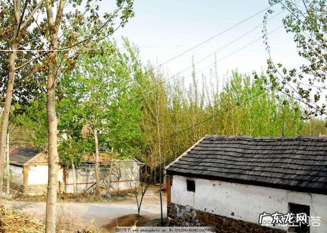 女儿没有提出离婚，丈母娘却开口闭口提出离婚，是什么目的？