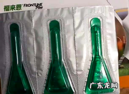 铲屎官看过来，狗狗驱虫药走心共享