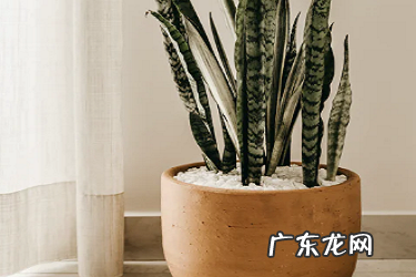 淘宝客服分流设置挂起什么意思?如何分流?