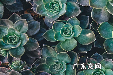 淘宝零点以后修改标题会降权吗?可以修改吗?