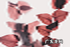 淘宝直通车推广方式属于哪种形式？有哪些推广种类？