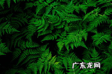 闲鱼怎么退不了货?如何处理退款?