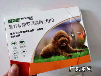 五年铲屎官的走心共享,狗狗体外驱虫