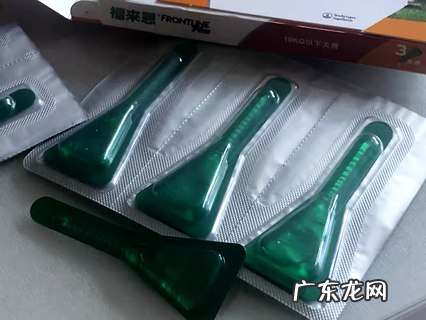 拜宠爽好用吗?养狗内行告知你