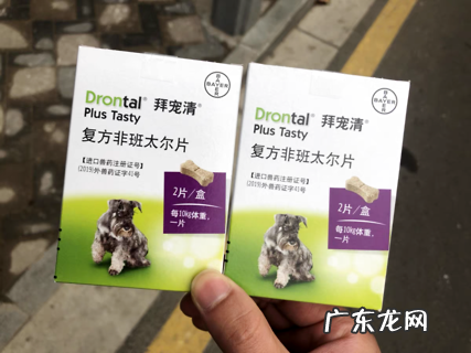 铲屎官看过来,狗狗运用拜宠清和犬心保的经历共享~