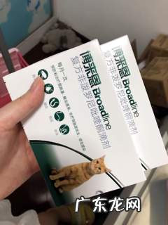 超具体驱虫攻略||看完猫怎样驱虫一望而知！