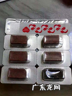 狗狗吐逆是怎么回事，提早知道这些不紧张！