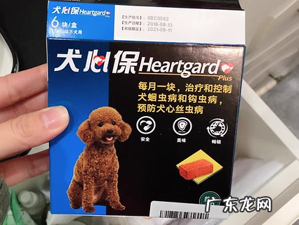 拜宠清和犬心保 该选哪个？