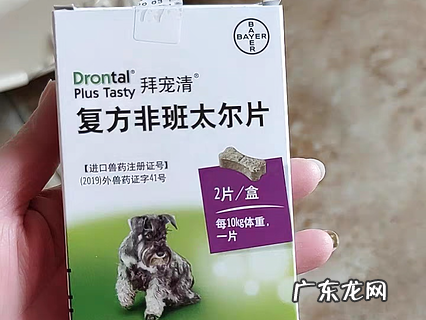 拜宠清和犬心保 该选哪个？