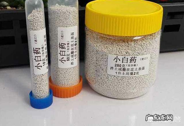 现在全国放开二胎生育政策,你见过年龄相差最大的二胎是多少岁?