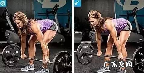 你在健身中听闻过哪些伪科学和错误的常识?