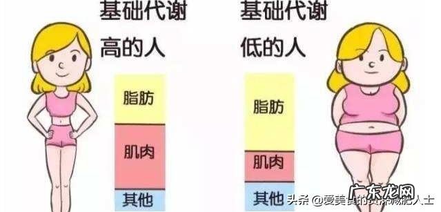 减脂如何计算自己基础代谢,还有每天需要吃多少克蛋白质