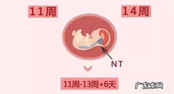 减肥之后有哪些尴尬的事？