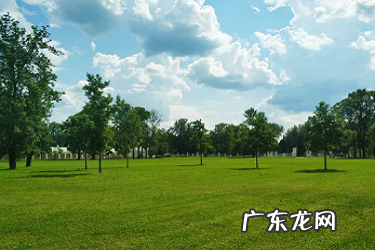 如何快速提升淘宝名气?有哪些技巧?