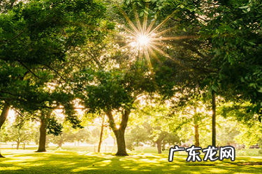 淘宝进店卡片如何设置？欢迎语怎么设？