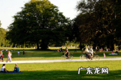 闲鱼怎么和自己关注的人聊天？如何操作？