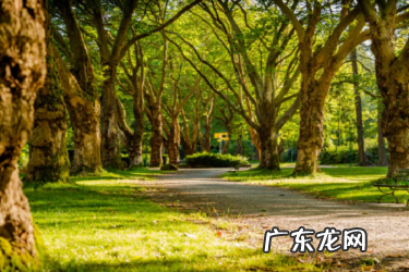 闲鱼芝麻信用授权有什么用？可信吗？