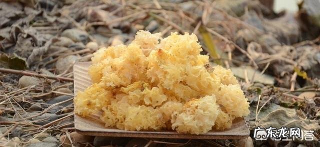 头条的八个基础功能 头条有二个功能挺实用的,大家知道吗?