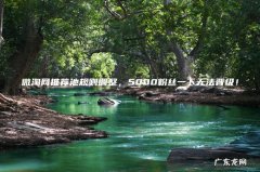 微淘网推荐池规则调整，5000粉丝一下无法晋级！