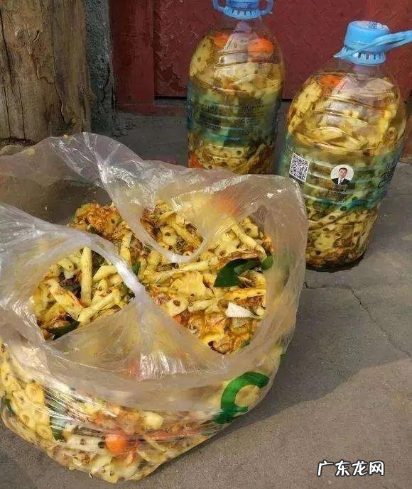 水果皮发酵可以浇多肉吗？