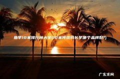 10米传统钓长竿哪个品牌好? 鱼竿10米排行榜大全