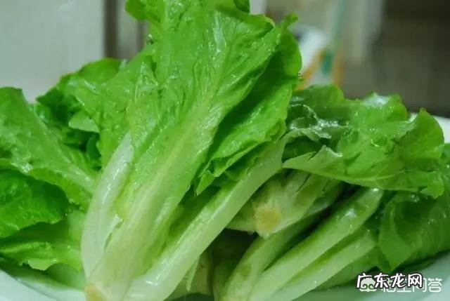 生酮减肥食谱一览表 生酮饮食减肥与化学饮食减肥分别适用于什么类型的人?